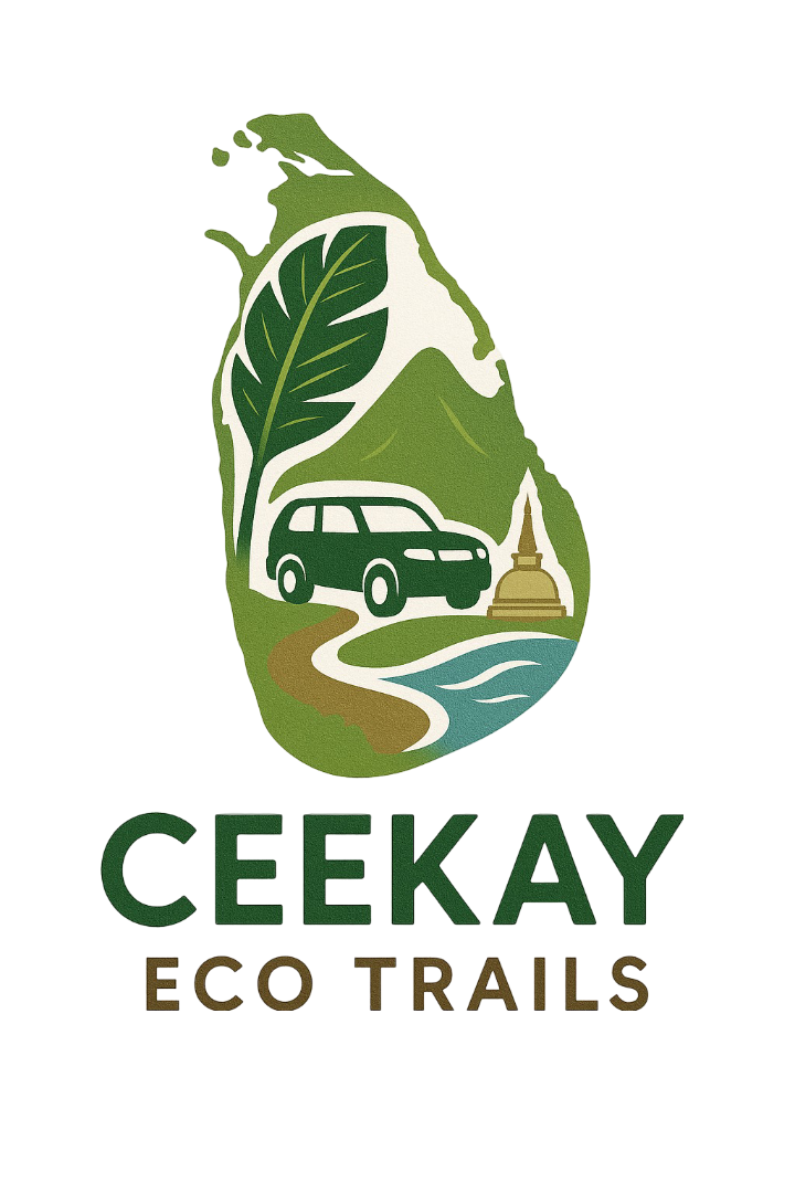 CEEKAY Tours logo