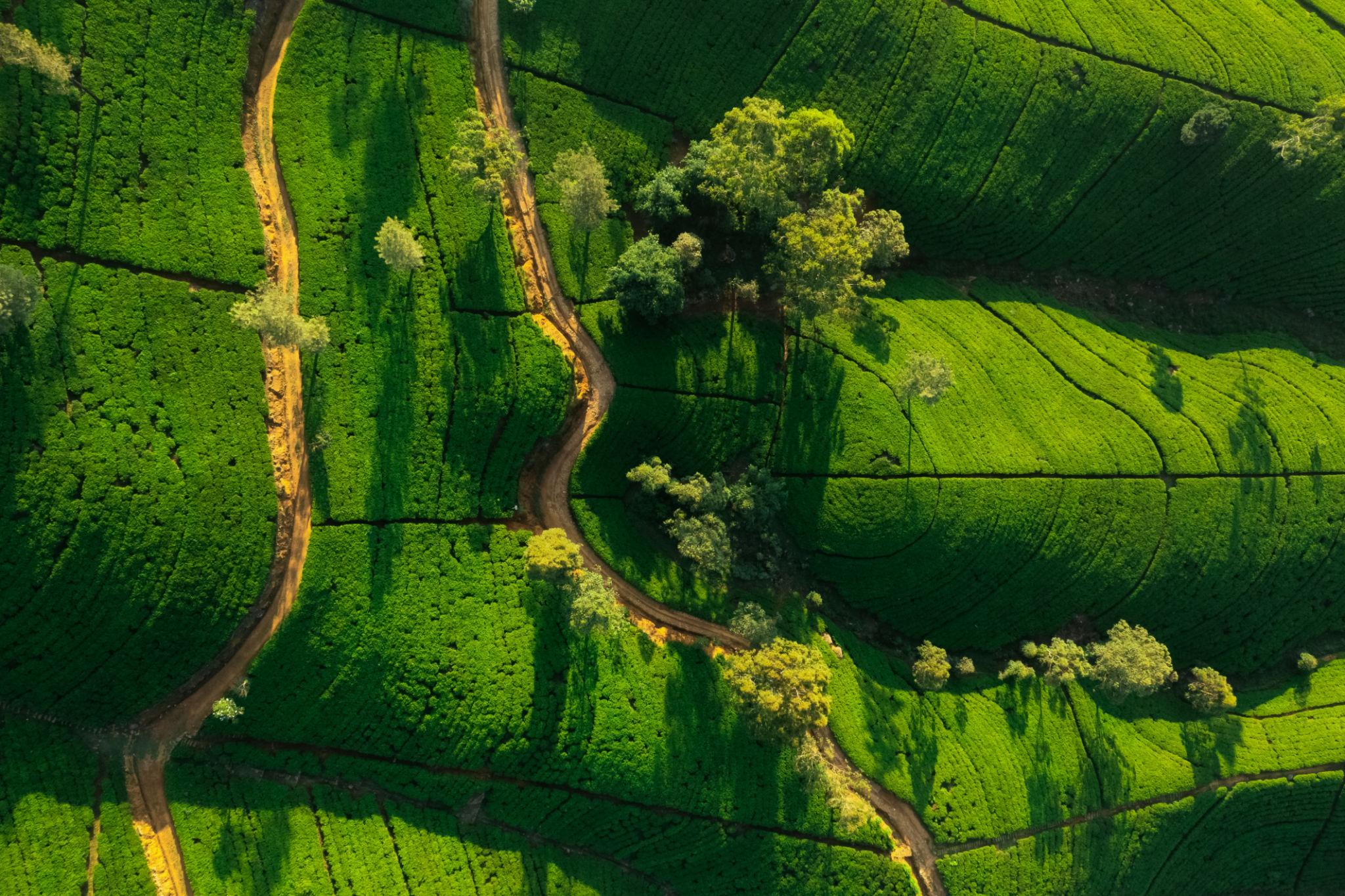 Sri Lanka Heritage